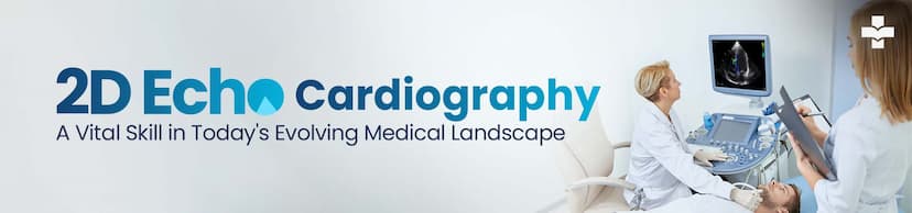 A doctor is using a 2D echo machine to examine a patient's heart, while a nurse records important details in the patient's medical record. This collaborative approach ensures thorough and accurate documentation of the examination.